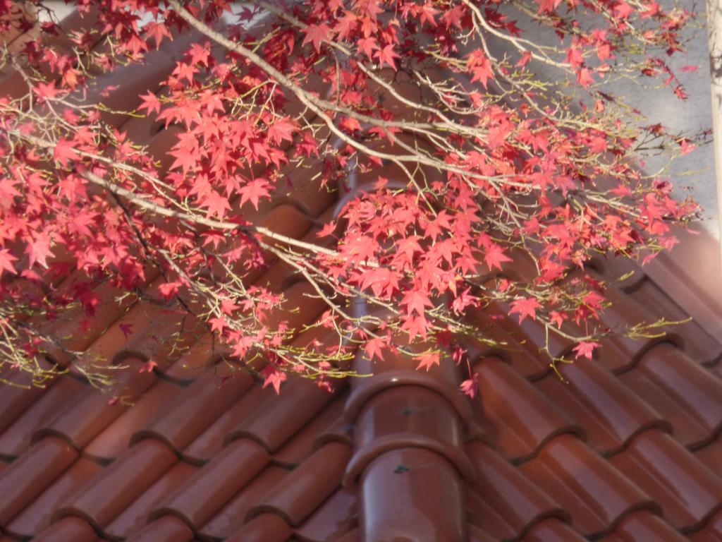 Saizen Matsumuro Stay Kyoto Exteriör bild