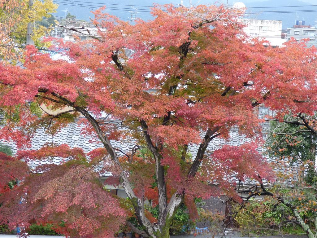 Saizen Matsumuro Stay Kyoto Exteriör bild