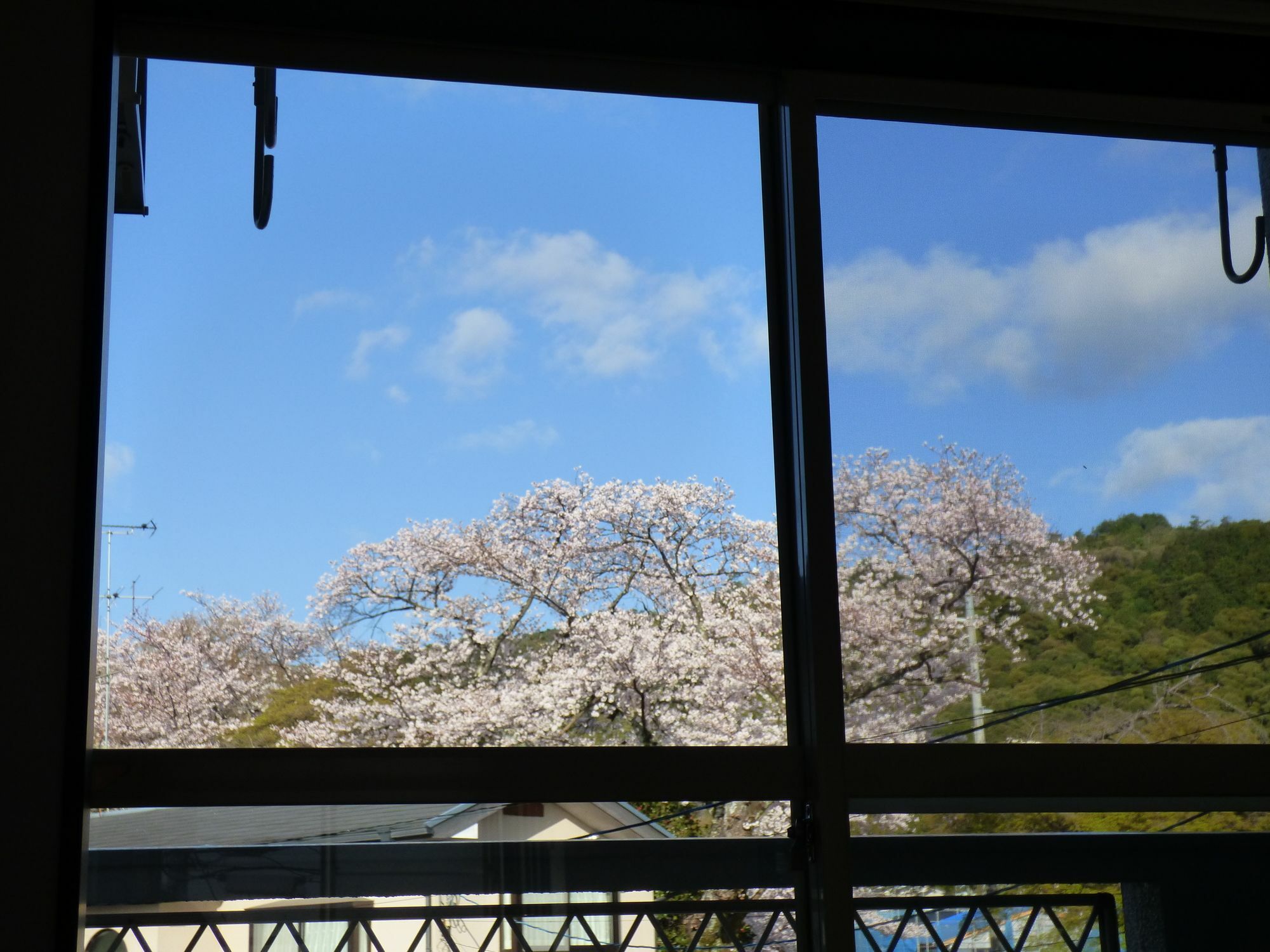 Saizen Matsumuro Stay Kyoto Exteriör bild